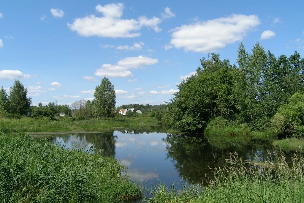 Уча х. Речка уча в ивантеевке. Уча х. Уча х. Речка уча в ивантеевке.