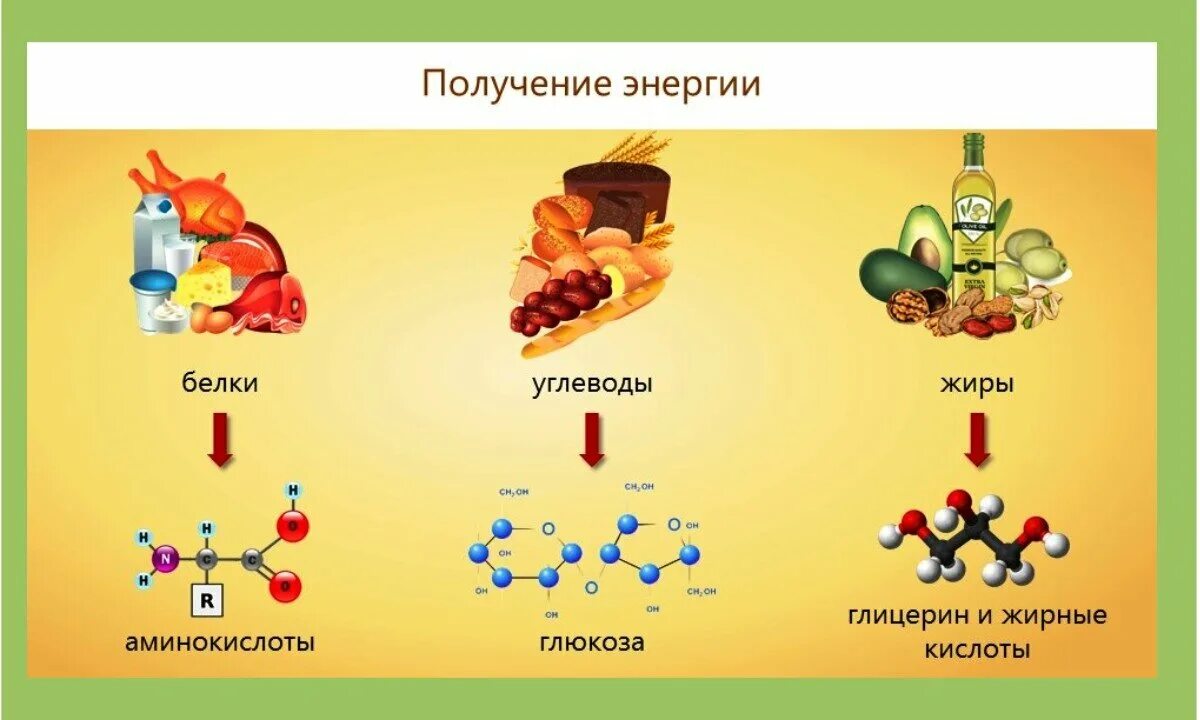 При расщеплении какого соединения выделяется свободный кислород