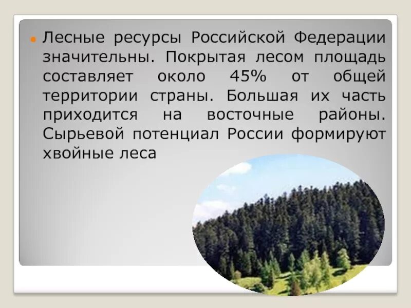 Лесные ресурсы России. Лесные запасы России. Лесные ресурсы ресурсы России. Наибольшие запасы лесных ресурсов в России.