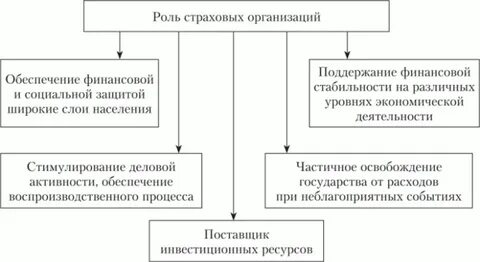 Деятельность участников страхового рынка