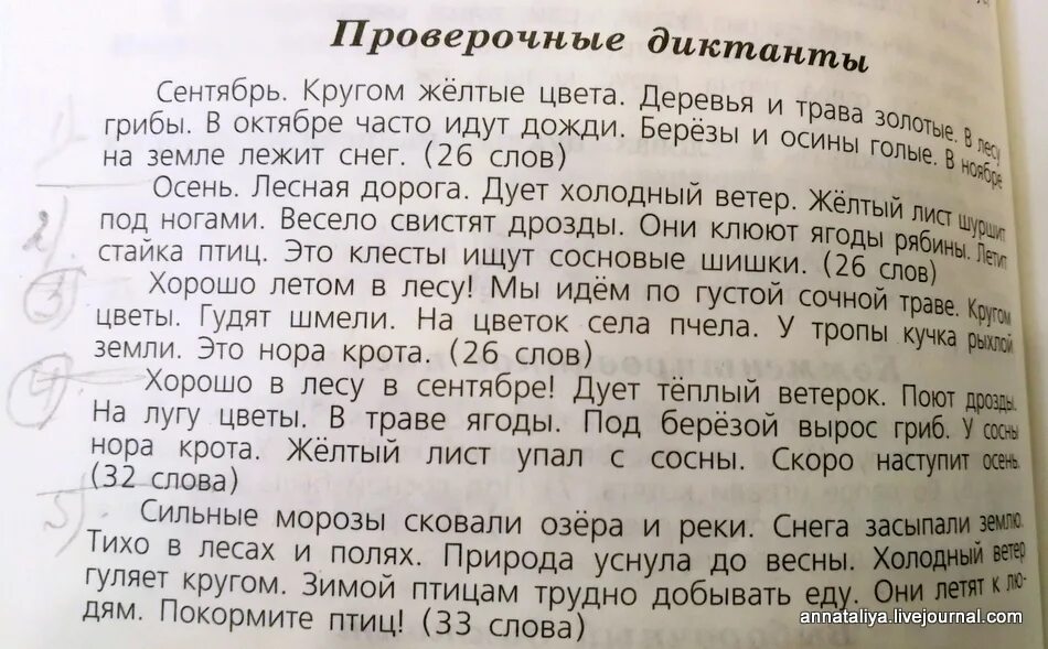 Диктант. Диктант по русскому языку. Диктант 2 класс. Текст под диктовку 2 класс.