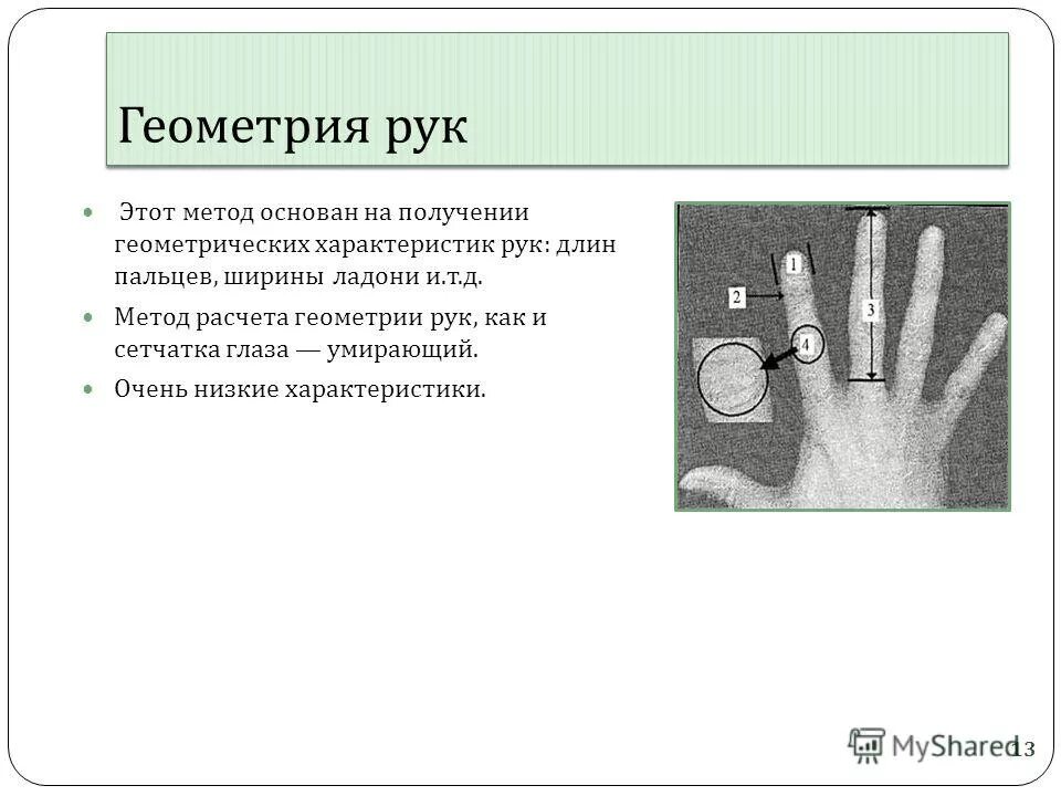 характеристика руки работа