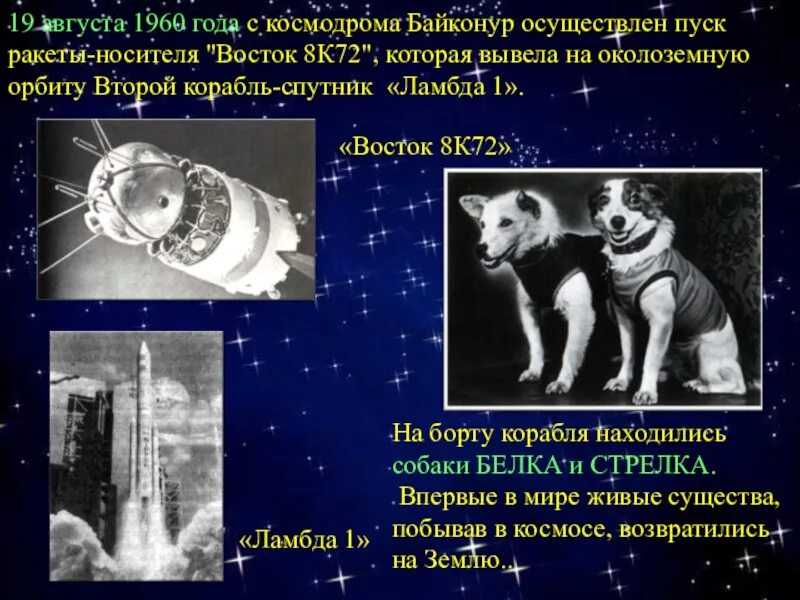 1960 Год космический корабль Восток. 19 Августа 1960 года. Белка и стрелка 19 августа 1960 года. Корабль Восток белка и стрелка. 19 августа 1960