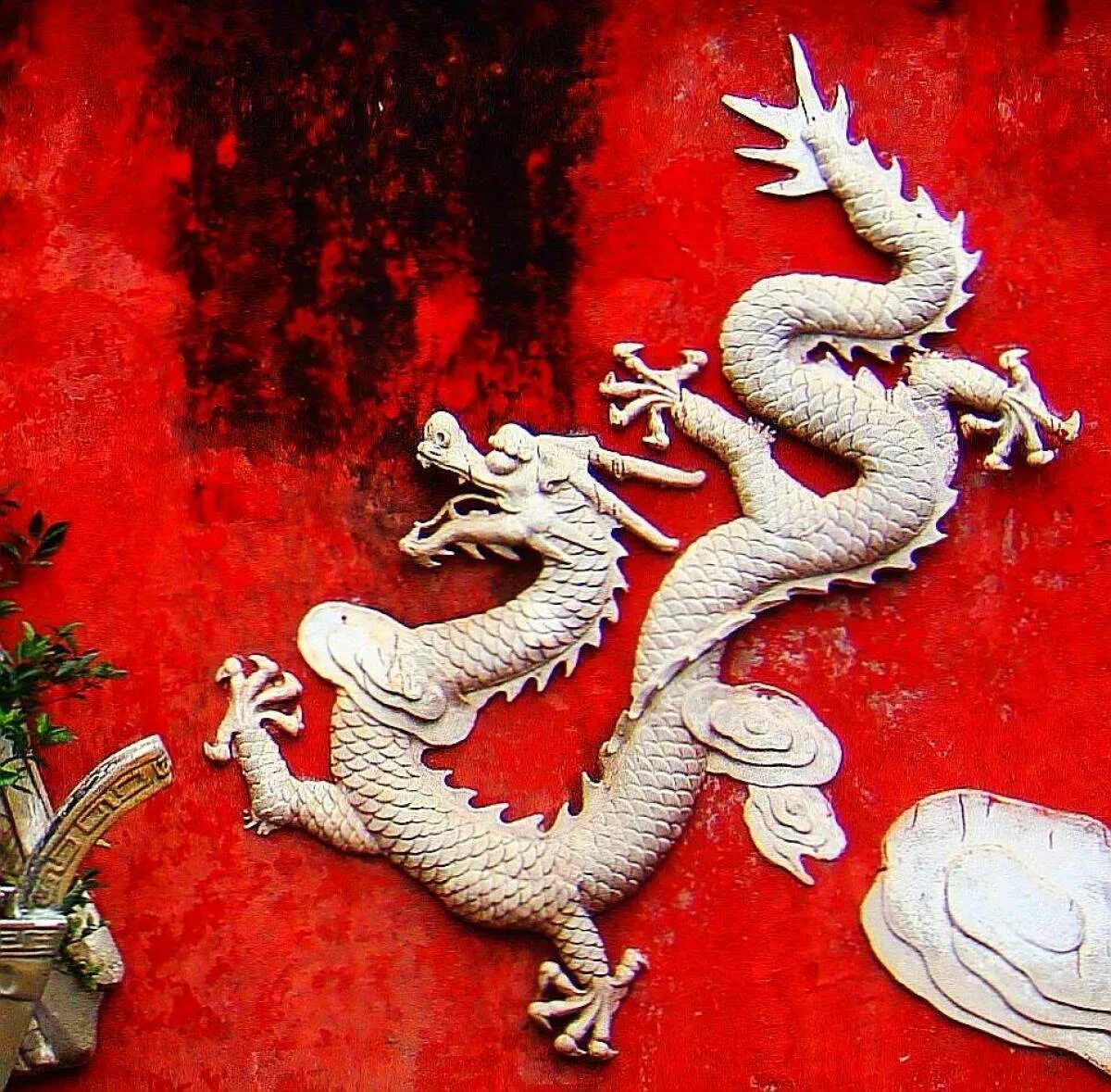 Янцзы дракон. Императорский дракон Китай. Фуцанлун дракон. DEAGOSTINI китайский дракон. Русский дракон китайский дракон