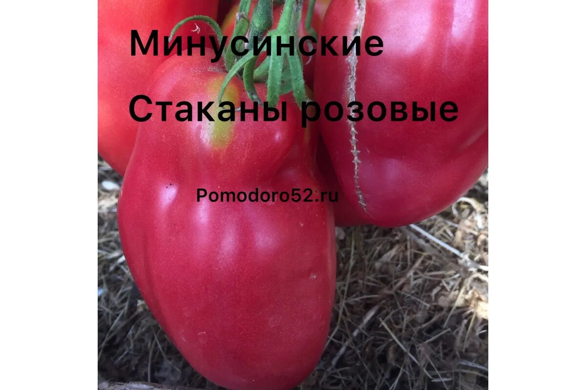 Томат Минусинские стаканы оранжевые 5шт
