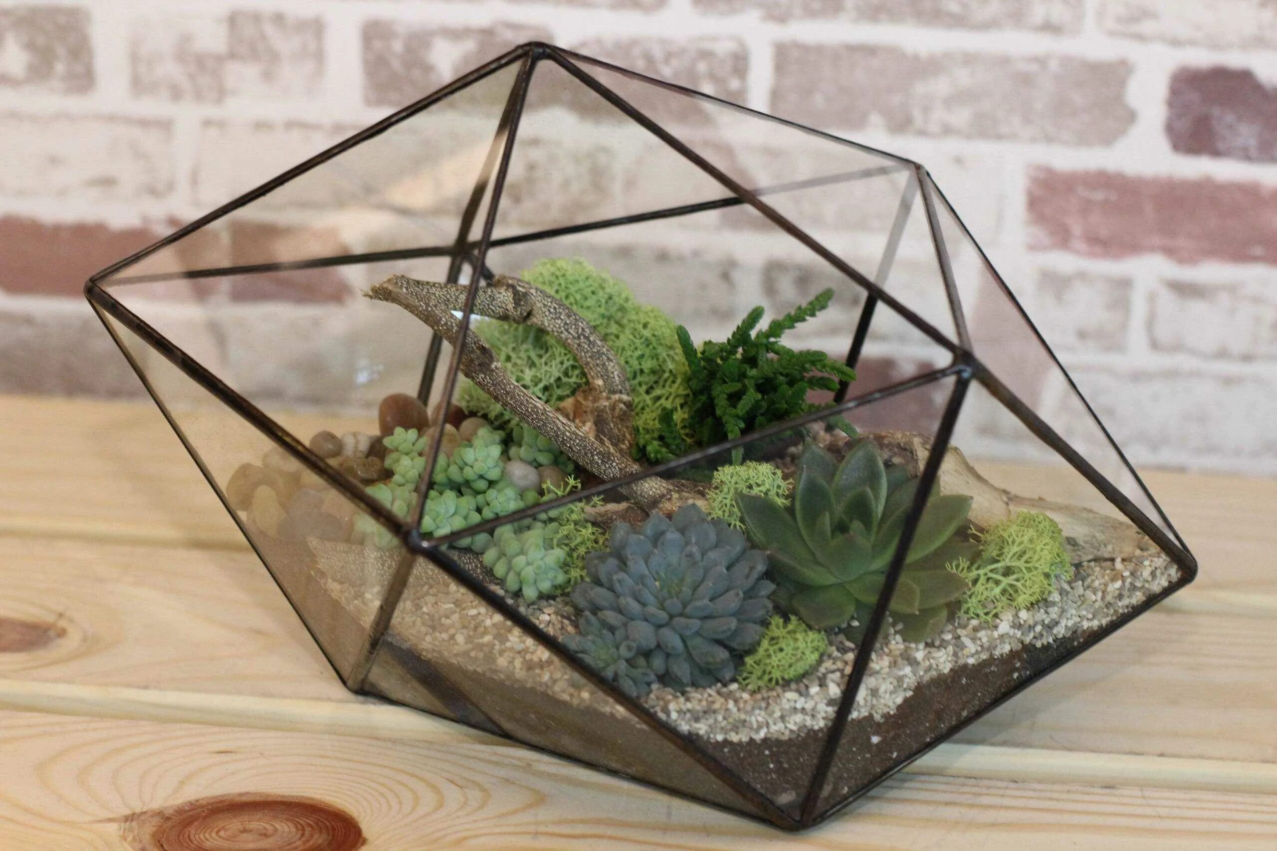 Флорариум с азалией. Суккуленты террариум флорариум. Фитофлорариум суккуленты. Как сделать флорариум. Флорариум идеи.
