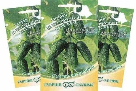 Огурцы изумрудные сережки