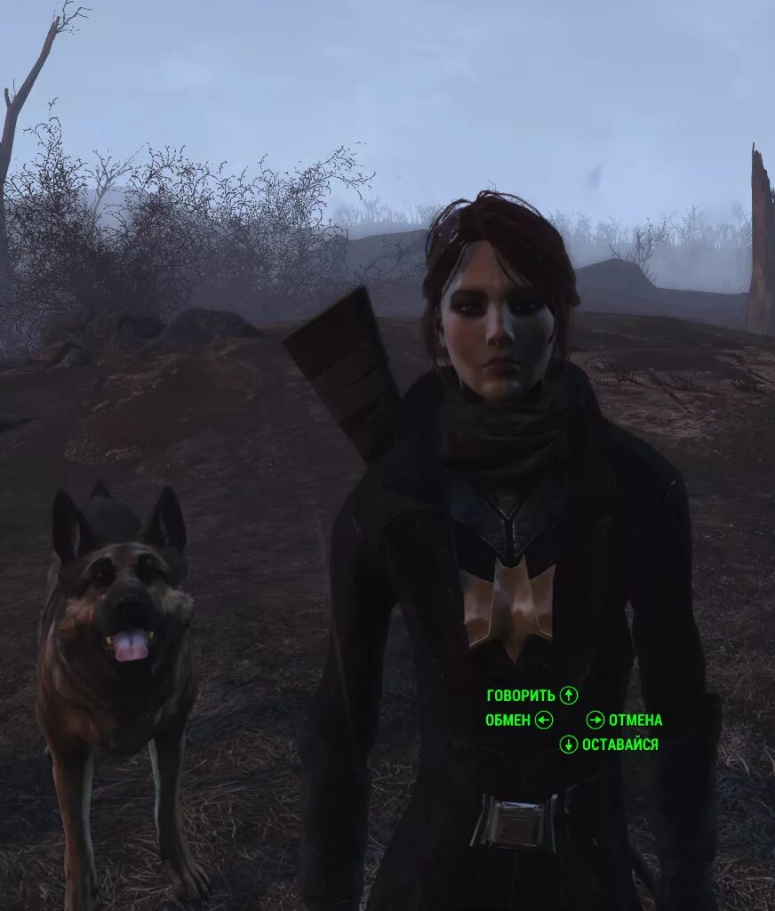 Кейт fallout. Fallout кейт. кейт фоллаут 4. fallout 4 нежная кейт. kate mod dogs.
