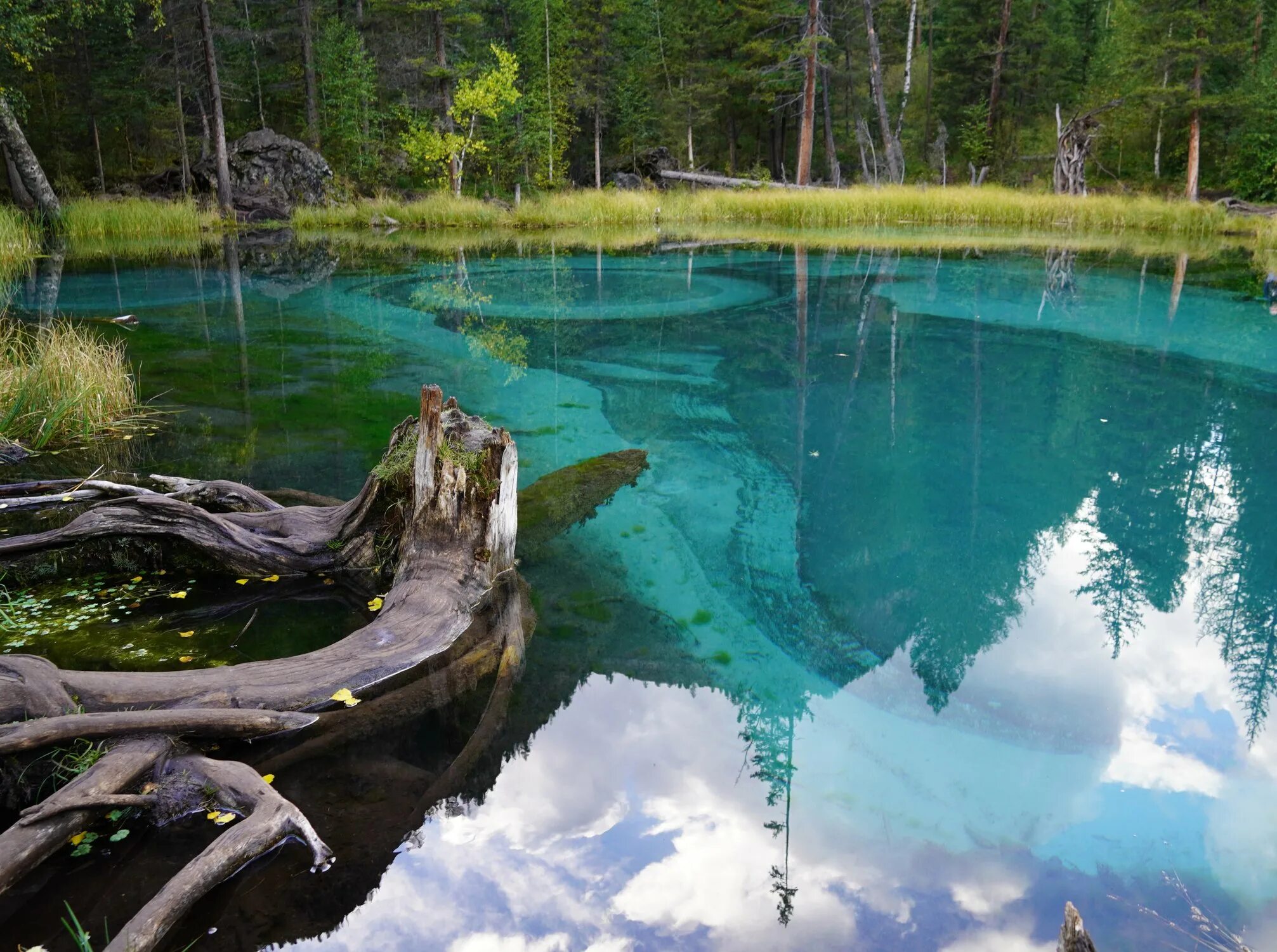 Как называется озеро в россии. Малахитовое озеро горный Алтай. Гейзерное озеро Алтай. Горно Алтайск Гейзеровое озеро. Гейзеровое озеро горный Телецкое озеро.
