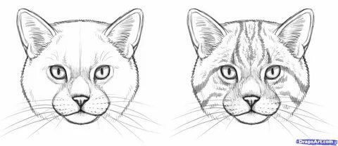 Рисунок как нарисовать рисунок кошки