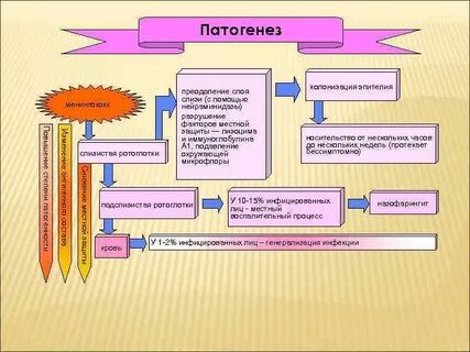 Патогенез ветряной оспы