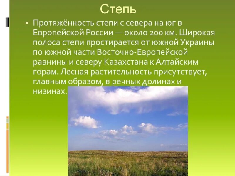 Степи протяженность. Степи России. Степи европейской части России. Протяженность Степной зоны в России. Географическое положение лесостепей и степей в россии