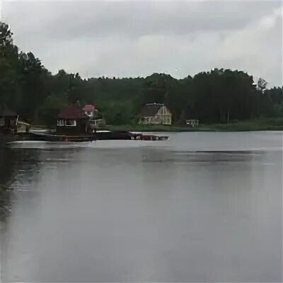 Колтуши кафе. Кафе колтуши. Ресторан колтуши у озера. Колтуши озеро кафе озеро. Кафе на озере в колтушах.