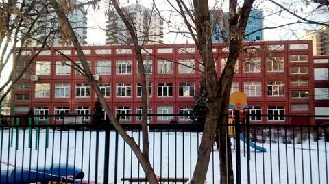 Школа номер 237