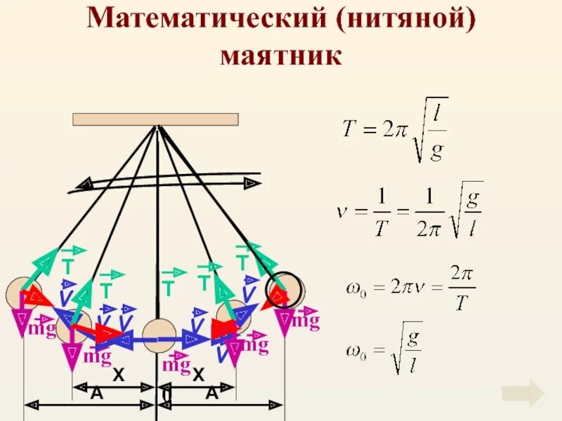 Колебания математического маятника рисунок. Математический маятник нитяной и пружинный. Нитяной и пружинный маятники формулы. Нитяной маятник и пружинный маятник. Колебания нитяного маятника.