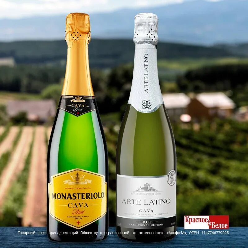 кава монастериоло. кава монастериоло. Monasteriolo cava brut. вино игр кава монастериоло брют бел. шампанское cava semi seco.