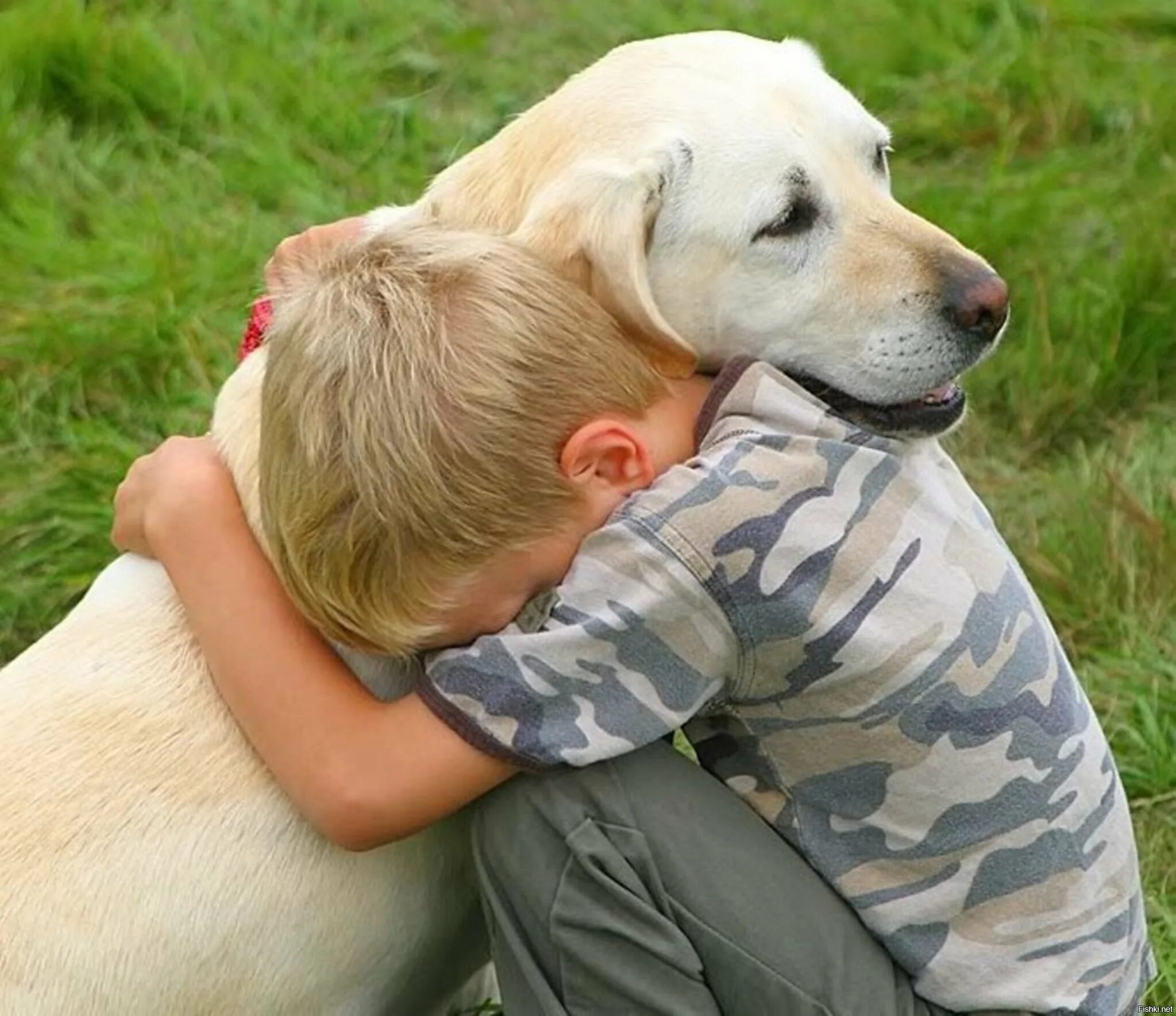 Собака друг человека. Дети с животными. Собака для детей. Животные друзья человека. Сочувствие животным