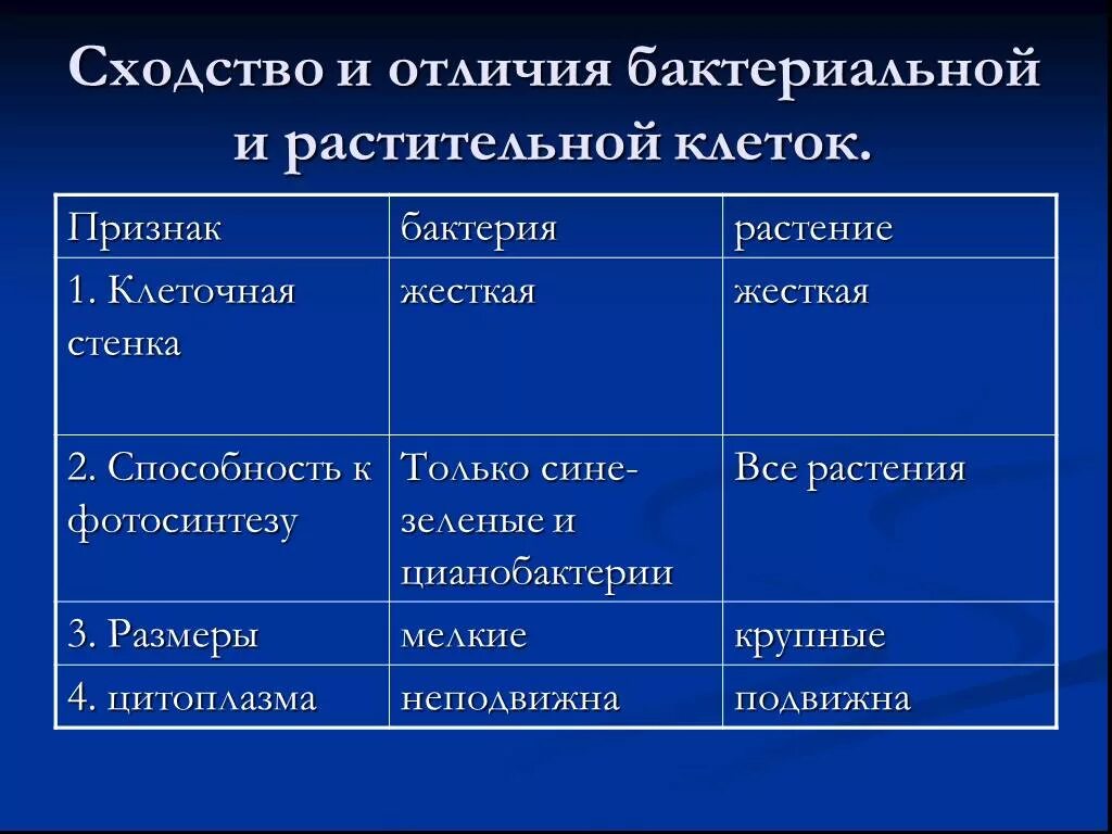 Строение клеток сходство и различие. Сходство и различие клетки растения и бактерии. Сравнение растительной и бактериальной клетки. Сходства и отличия бактериальной и растительной клеток. Разница между клетками растений и бактерий.