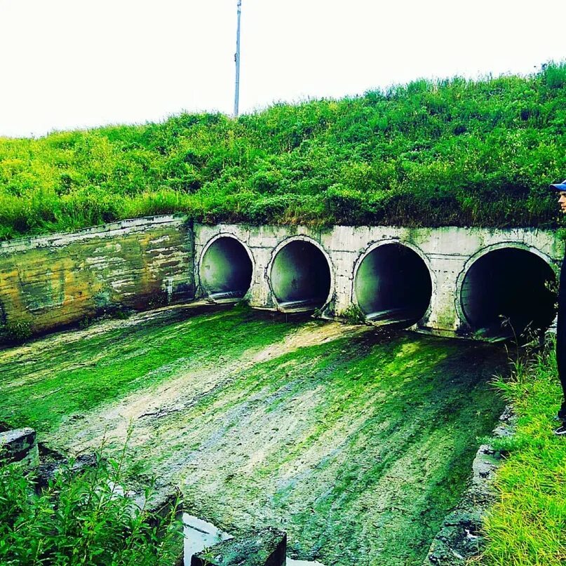 Погода алтайский край смоленский район линевский. Линевский водопад. Река Койниха Новосибирская область. Дамба Линево. Водохранилище на р.Койниха Новосибирская область.