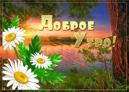 Доброе утро друзья ватсапа
