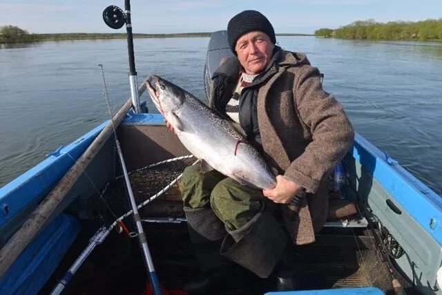 Какая рыба в волгограде. Карповское водохранилище рыбалка. Карповское водохранилище Волгоград. Волгоградское водохранилище рыбалка. Рыбы Волгоградской области.