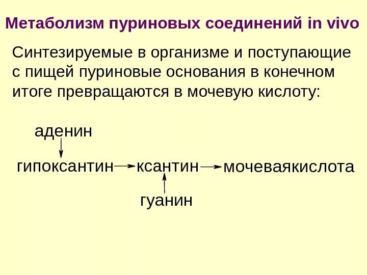 Метаболизм нуклеиновых кислот. На что распадаются нуклеиновые кислоты. Метаболизм нуклеиновых кислот. Метаболизм нуклеиновых кислот. Функция нуклеотидных коферментов.
