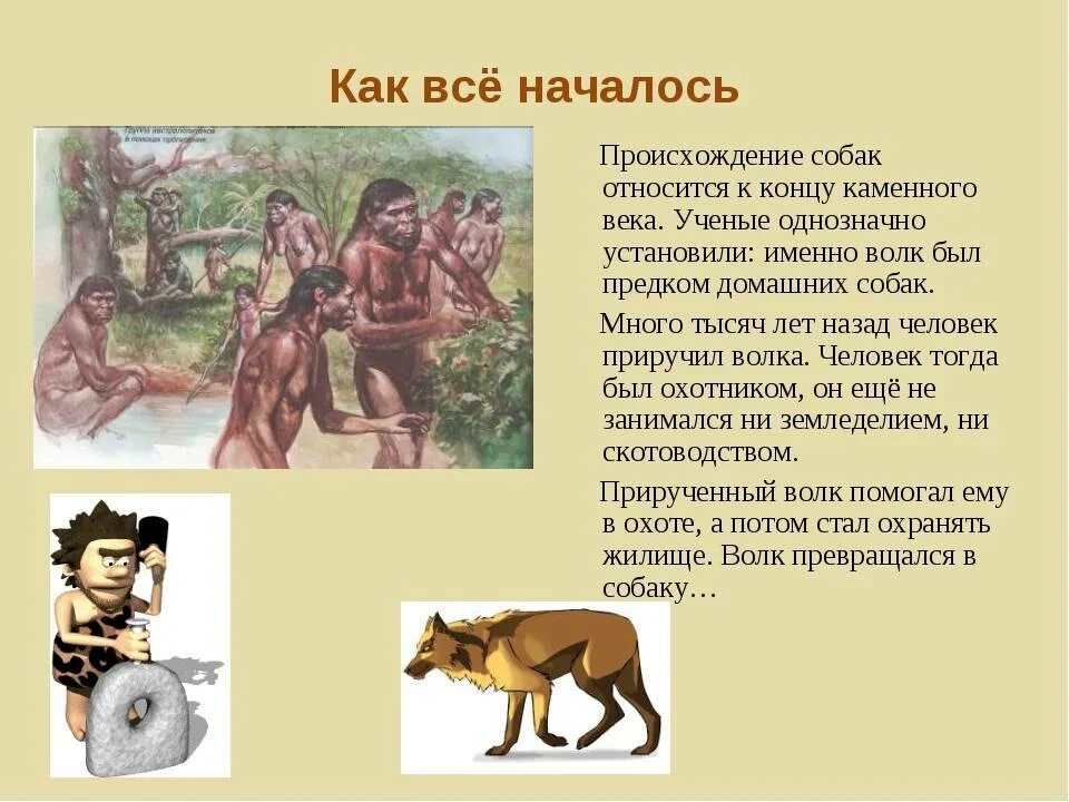 Какой самый 1 друг человека. Предки современных собак. Как человек приручил собаку. Происхождение собак. Древние люди приручают животных.