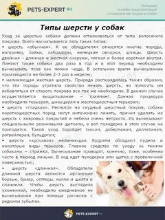 Характеристика шерсти собаки