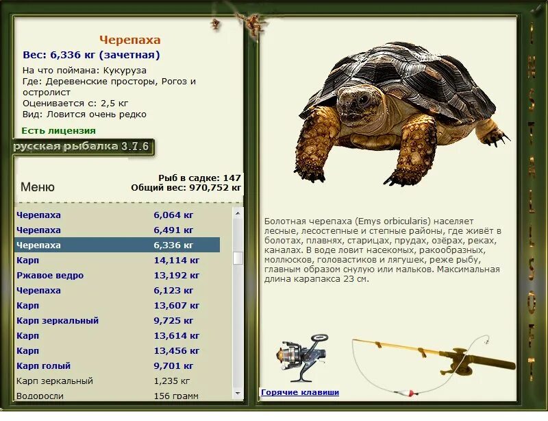 русская рыбалка 3. средний вес черепахи. вес черепах. сколько весят черепашки. вес черепах.