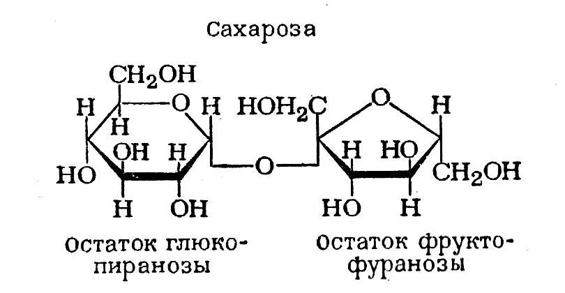 Сахароза функции. Сахароза биохимия. строение дисахаридов биохимия. сахароза формула биохимия. строение сахарозы.