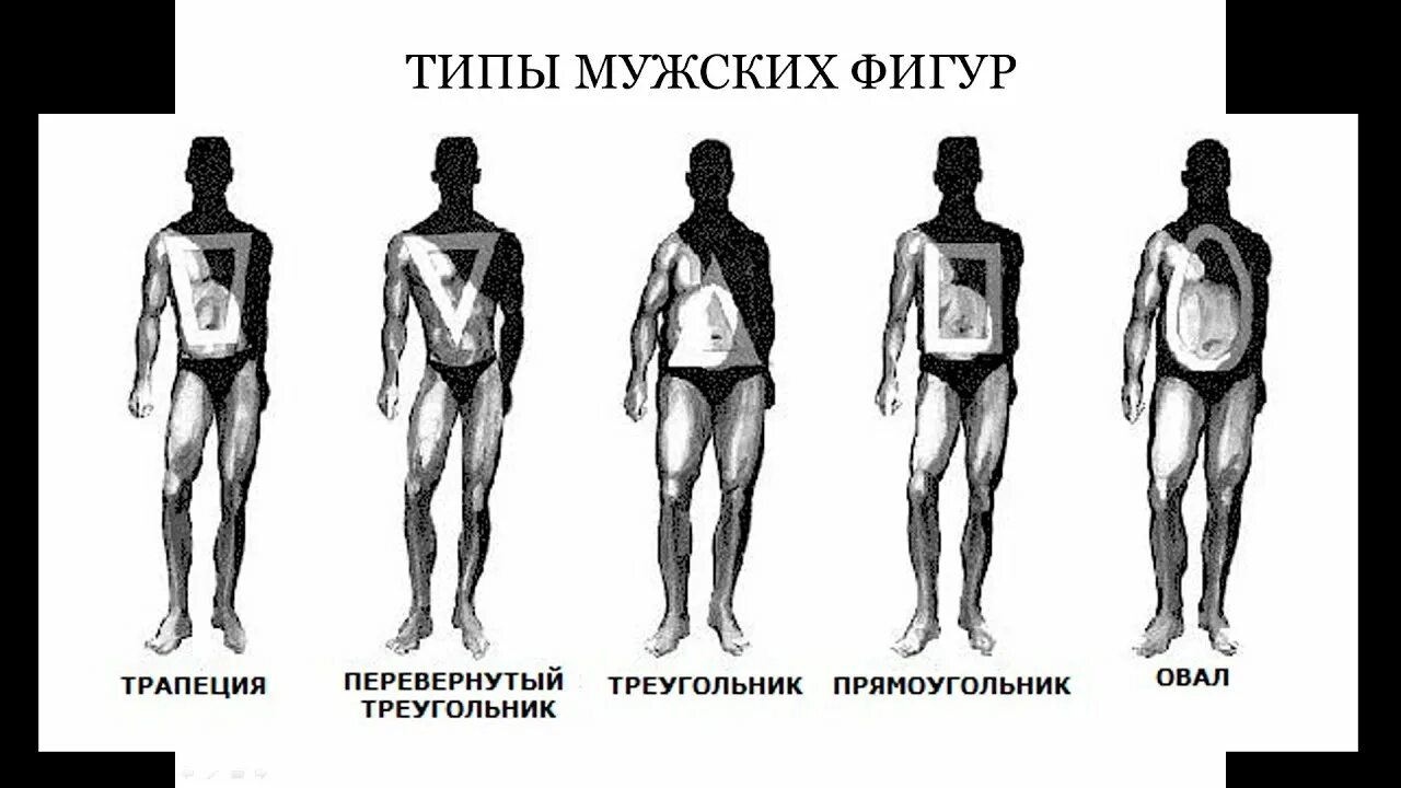 Выраженный в типах и формах. Типы мужских фигур. Типы телосложения у мужчин. Тип фигуры тела мужчины. Широкие и узкие бедра у мужчин.