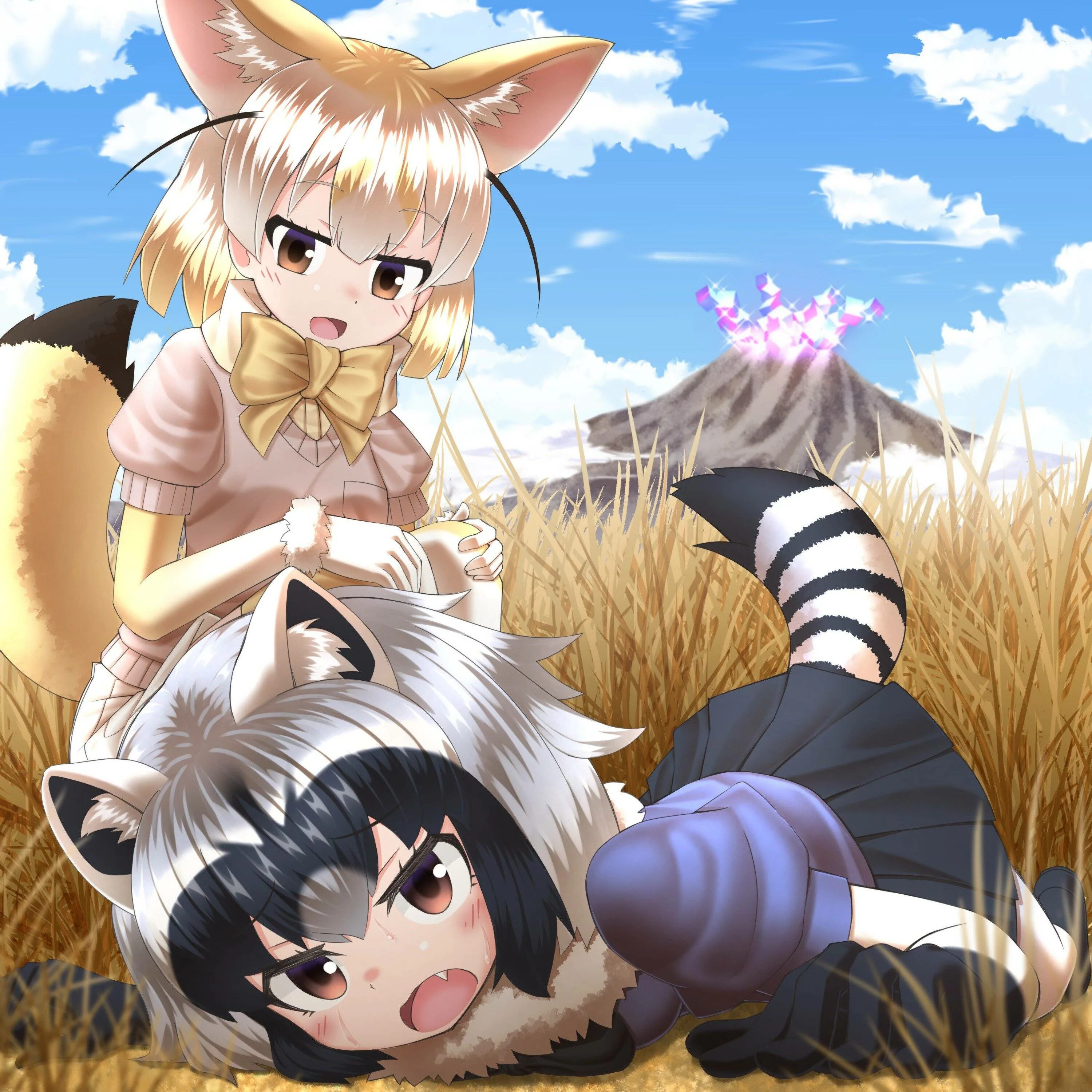 Furrier kemono. Kemono friends Ракун. Common Raccoon Kemono friends. Грей Kemono friends.