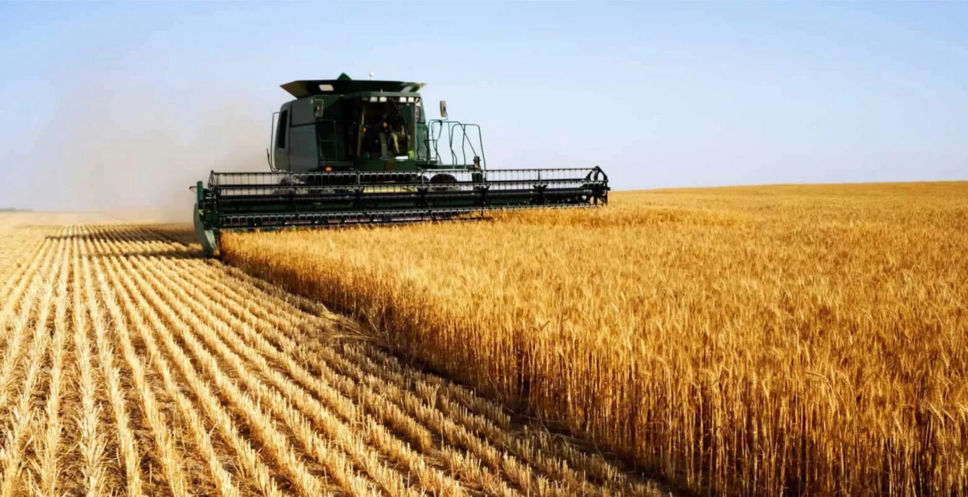 Сельское хозяйство. Сельское хозяйство Растениеводство. Поле пшеницы. Промышленность и сельское хозяйство. Крупное сельскохозяйственное производство