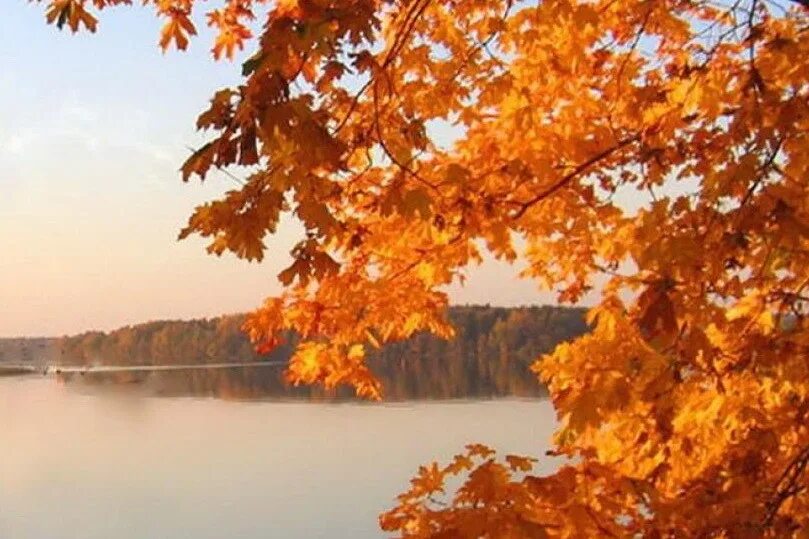 Погода конец сентября октябрь. Природа осень. Осень сентябрь. Тёплая осень. Конец сентября.