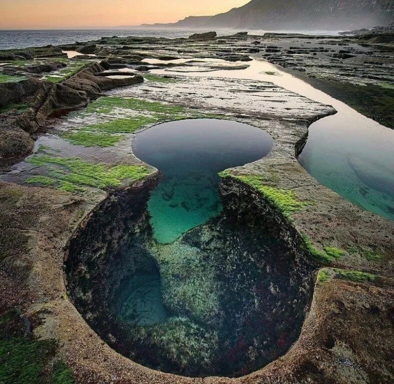 Считается одной из самых интересных. Королевский национальный парк (Royal National Park). Национальный парк Австралии. Парк Ройал Австралия. Озеро Какура Австралия.