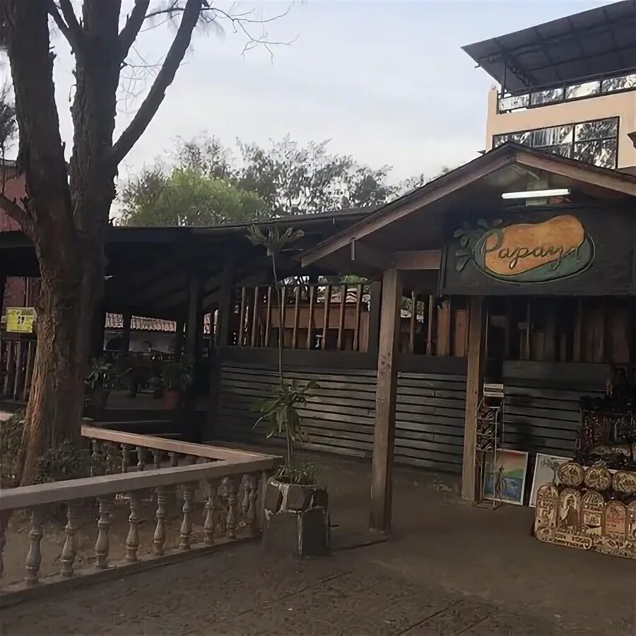 Papaya cafe. Папайя ресторан махачкала. Коркмасова, 12 меню. Ресторан крым мелитополь. Папайя севастополь ресторан меню.