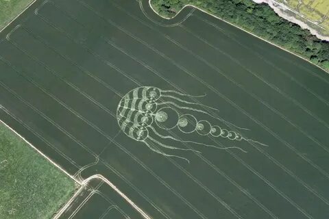 Координаты поля