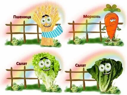 Мы пришли на огород несложный и веселый