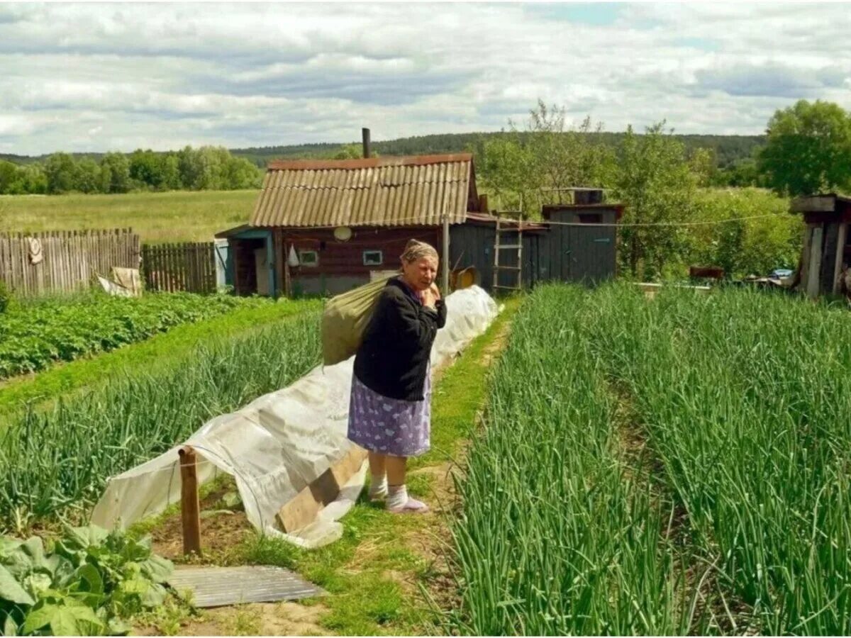 Полевые земли лпх