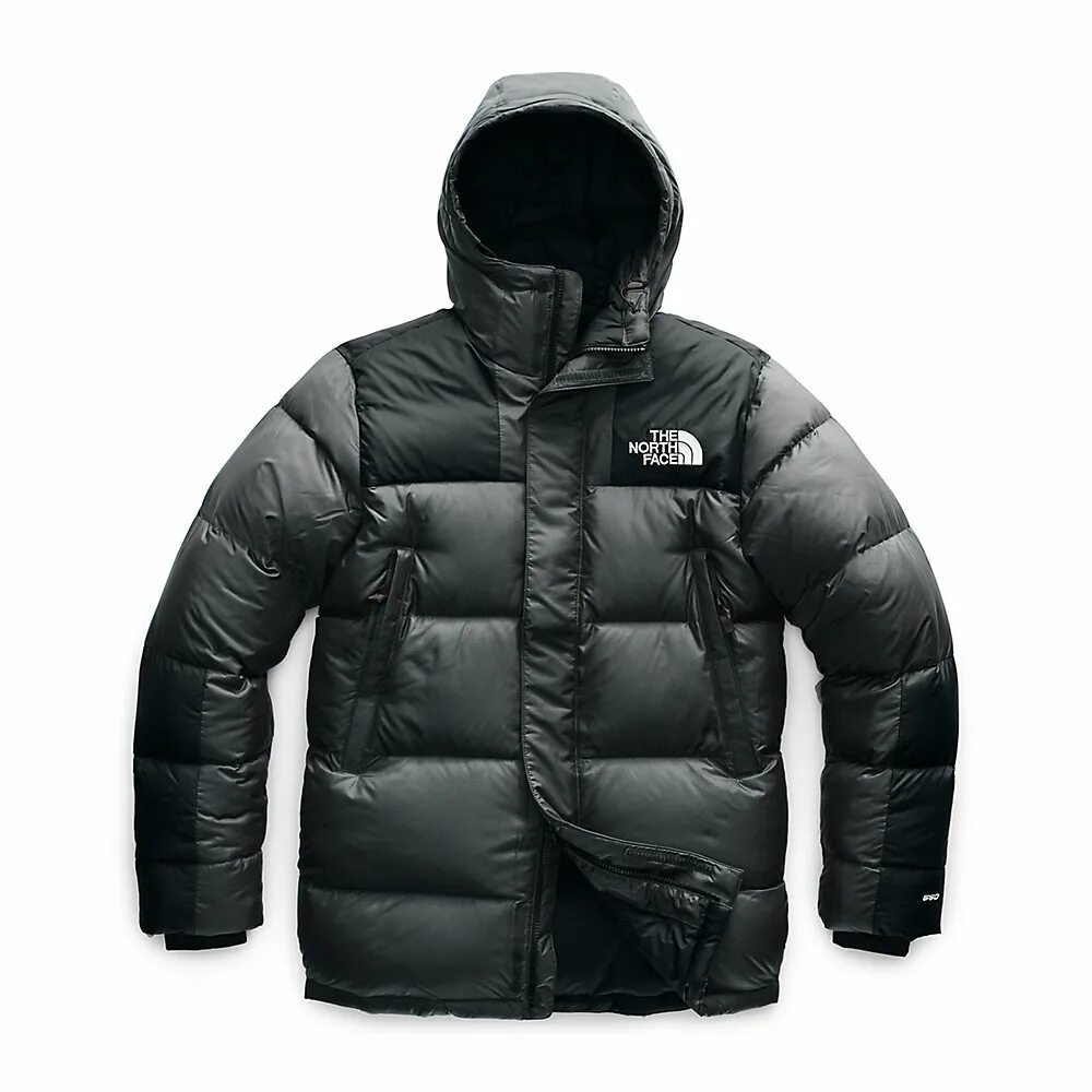 Ламода мужские зимние. TNF 550. Пуховик тнф 550. Пуховик мужской the North face 550 отзывы. The North face Deptford down.