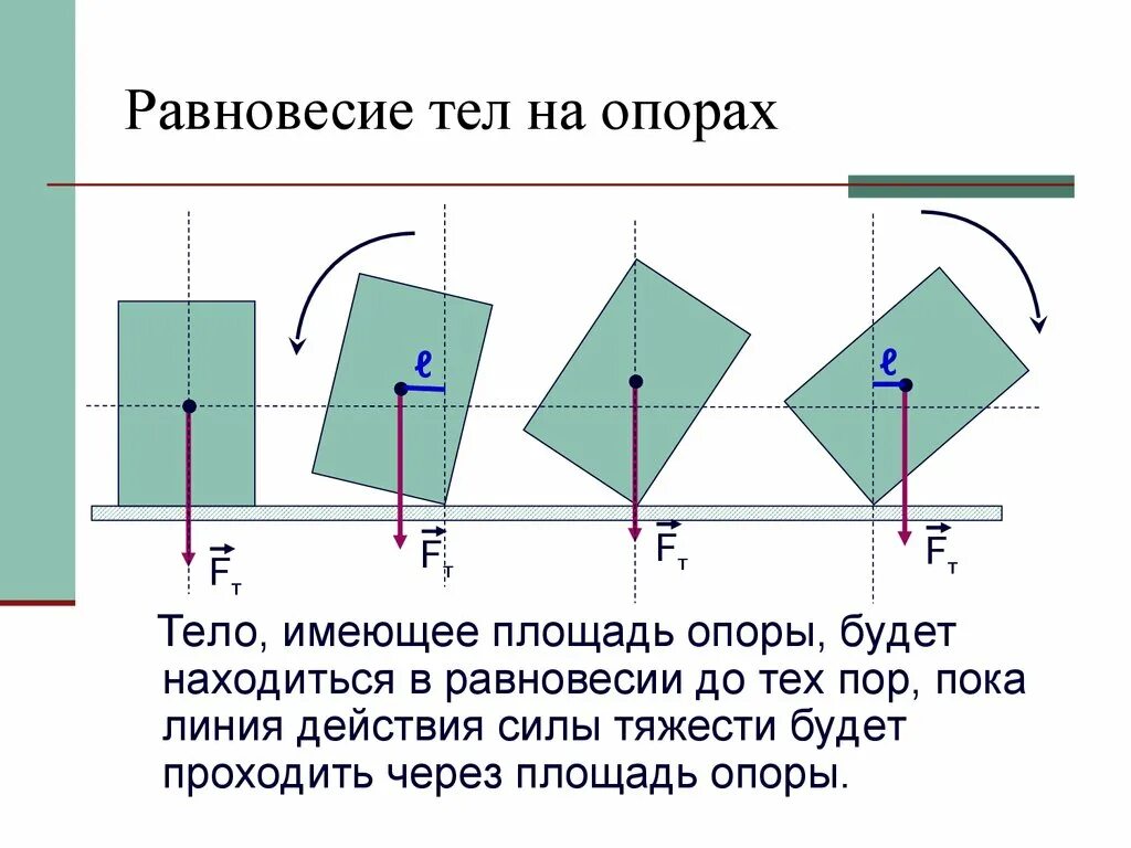 Определение равновесия тела. Устойчивость равновесия тел. Равновесие тела на опоре. Устойчивое равновесие тела. Виды устойчивости равновесия.