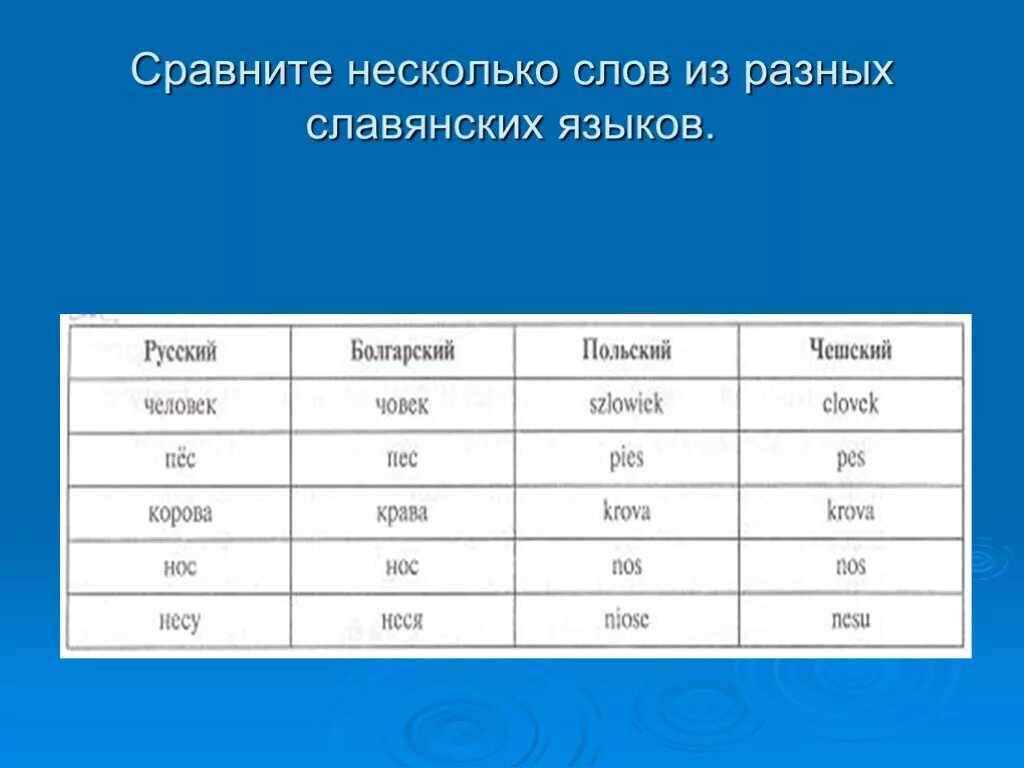 Слова сравнения в русском языке. Сравнение слов в славянских языках. Сравнение слов разных славянских языков. Слова на разных славянских языках. Сравнение русского и славянских языков.