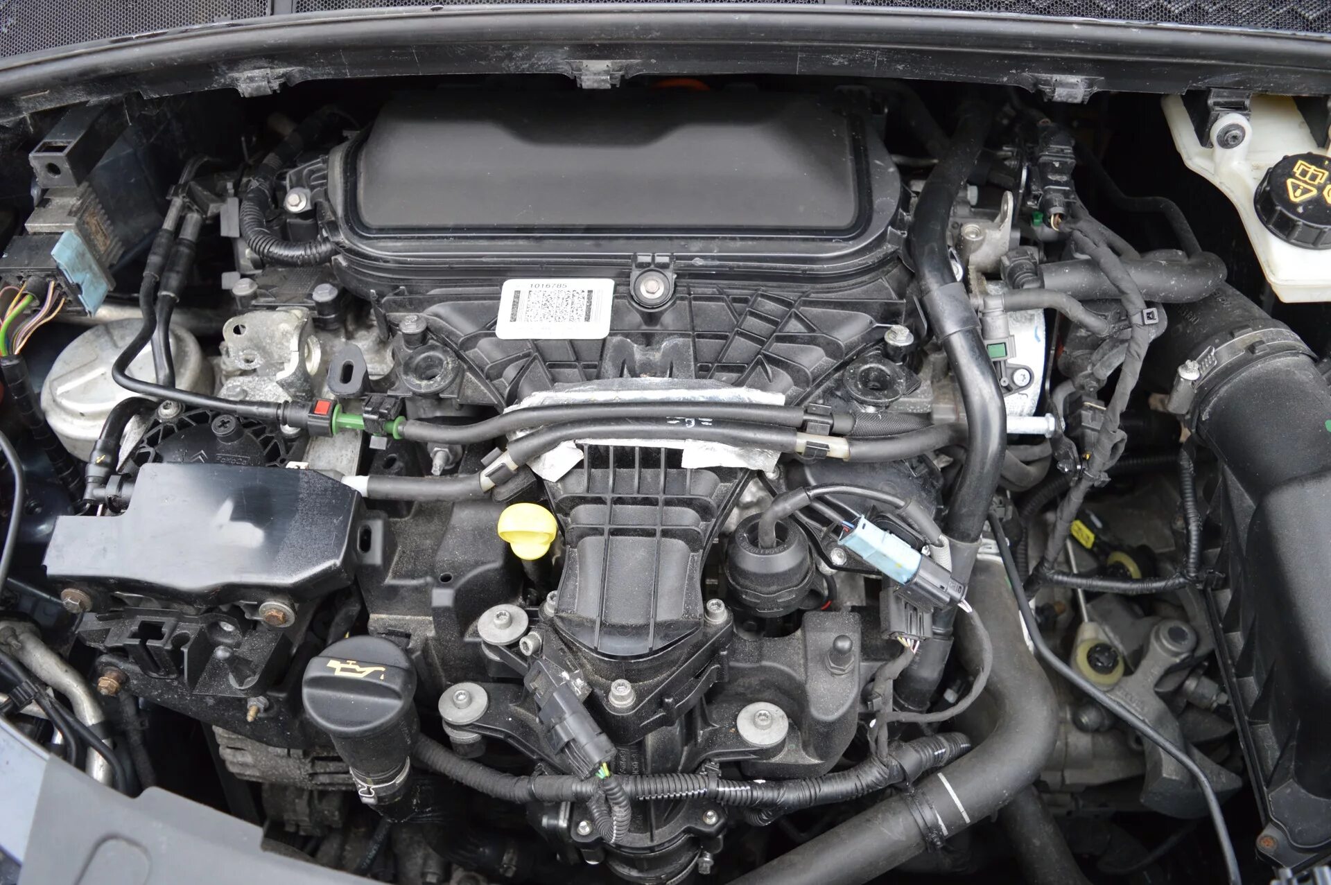 Двигатель форд куга 1. Ford Galaxy 2.0 TDCI. Форд Куга дизель 2 л. Двигатель Ford Kuga 1 2.0. Форд Куга двигатель 2,0.