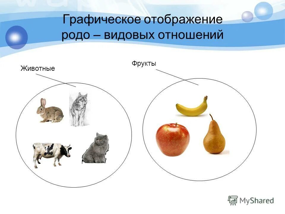Родовое и видовое понятие. Родовые и видовые понятия примеры. Родовое и видовое понятие примеры. Видовые понятия примеры. Родовое и видовое понятие в русском языке.