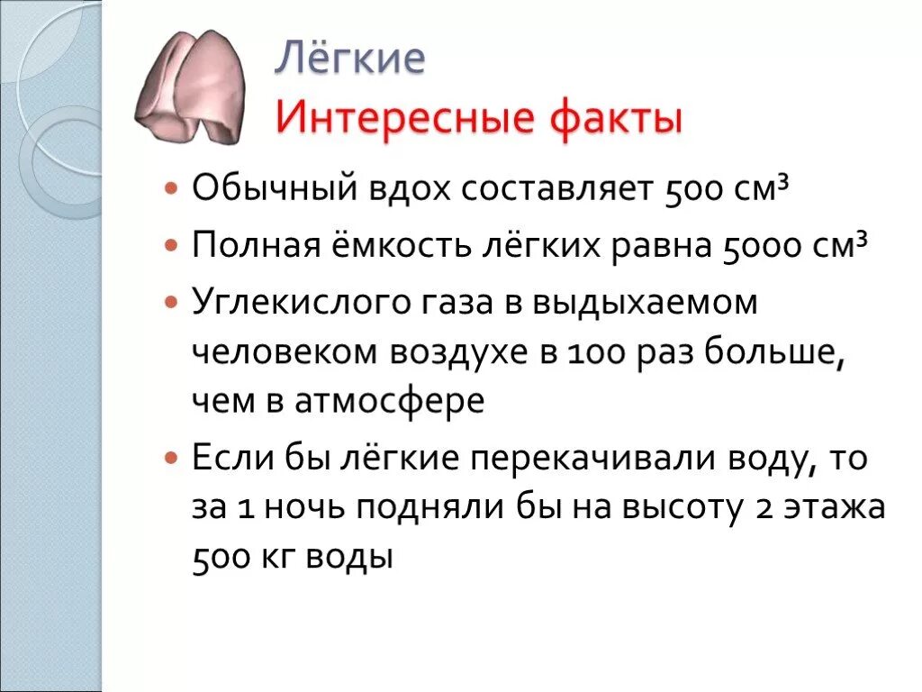 Интересные факты о дыхательной системе. Интересные факты о дыхательной системе человека. Интересные факты про легкие. Интересные факты о легких человека. Факты систем органов человека