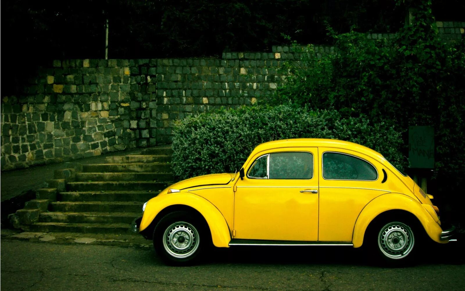 Фольксваген Битл желтый Жук. Желтый Жук Эммы Свон. Volkswagen Beetle желтый. Volkswagen Beetle 1963 желтый. Volkswagen желтый