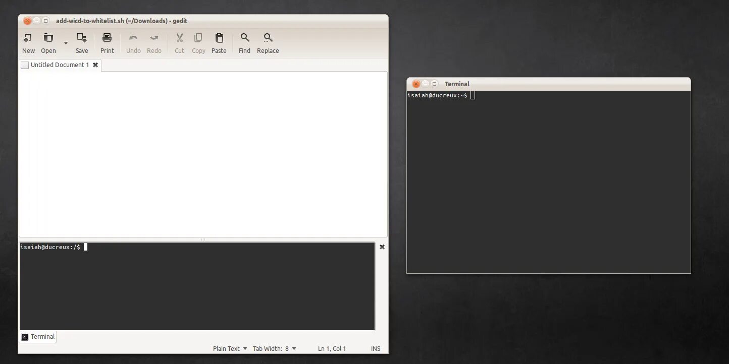 Terminal py. Embedded terminal. gedit. foreground terminal.
