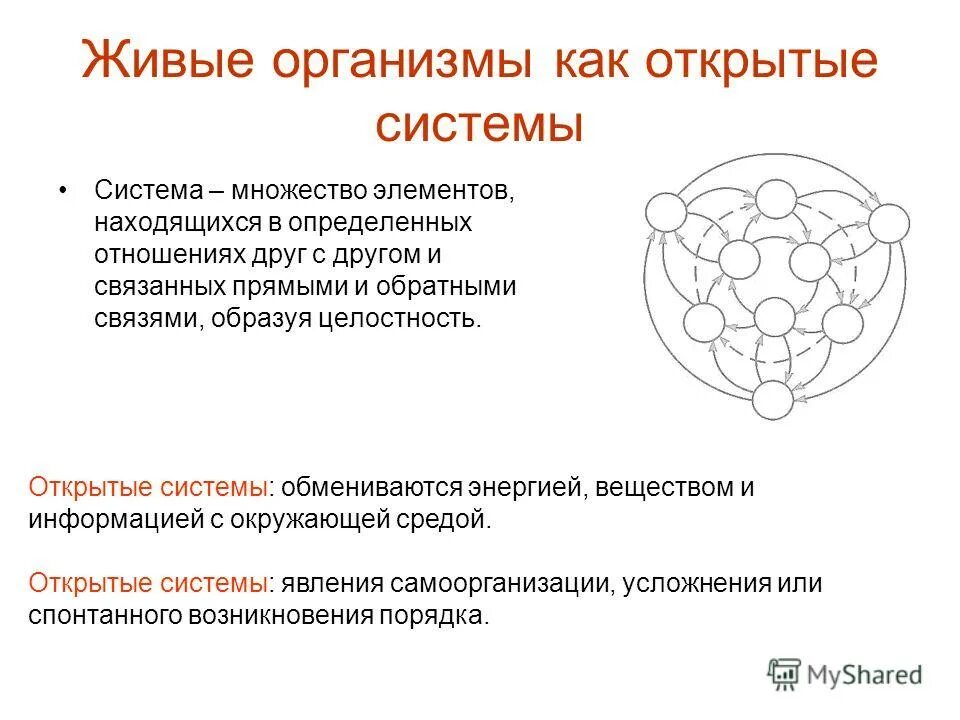Целостность множества элементов. Целостность множества элементов
