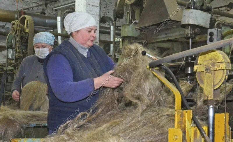Зао вышневолоцкий льнозавод. Производство льна волокна. Трепание льна на заводе. Производство льна волокна. Льняная промышленность.