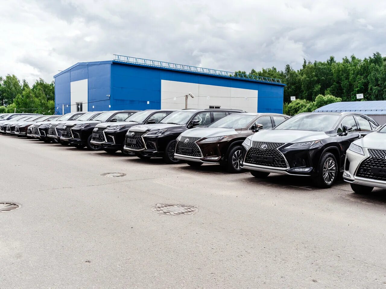 Рольф ясенево авто с пробегом. Рольф ясенево с пробегом. Москва мкад 40-й километр 1 рольф ясенево. Рольф ясенево. 39 км мкад рольф ясенево.